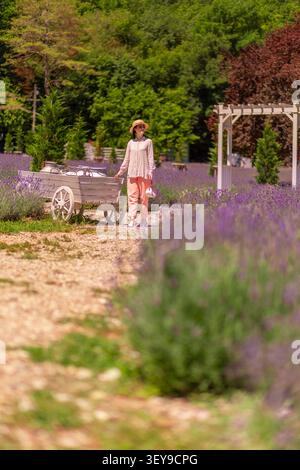 Junge elegante Frau steht auf einem lila Lavendelfeld während eines Sommerausflugs in die Provence. Französische ländliche Stimmung spiegelt Schönheit, Freiheit und raffiniertes va wider Stockfoto