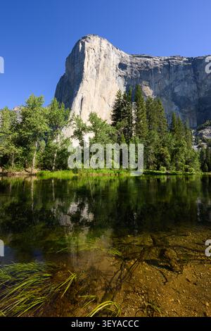 Die Dawn Wall von El Capitan im Yosemite-Nationalpark erhebt sich über dem klaren Merced River Stockfoto