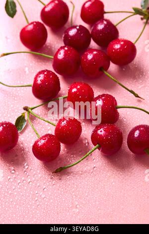 Frische süße Kirschen mit Wassertropfen auf rosa Hintergrund. Stockfoto