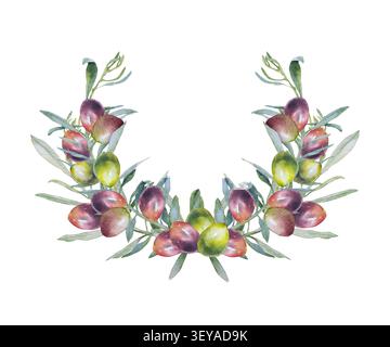 Olivenhalbstranz mit grünen und lila Früchten, botanische Illustration in realistischem Stil. Illustration für Olivenölverpackungen, Etiketten, Hochzeitspapiere, Menüdesign und Bauernhof-Branding. Stockfoto