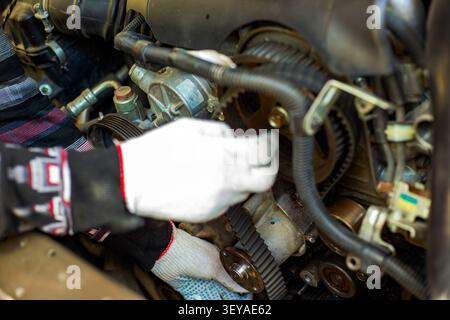 Ein Techniker mit weißen Schutzhandschuhen stellt den Zahnriemen im Motorraum des Fahrzeugs ein. Kfz-Reparaturservice, professioneller Mechaniker Stockfoto