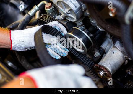 Ein Mechaniker mit weißen Handschuhen, der einen schwarzen Zahnriemen in einem Automotor inspiziert. autoreparaturdiagnose, Fahrzeugwartung, prof Stockfoto