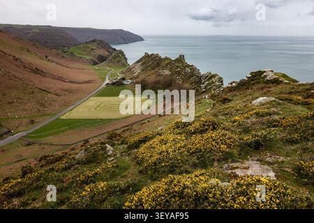 Weite Landschaftsansicht, die hinab in das dramatische trockene Tal des Valley of the Rocks blickt, mit seinen einzigartigen Granit-Tor-Felsformationen und Küstenwegen Stockfoto