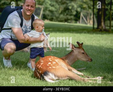 Vater und Sohn sitzen an einem sonnigen, warmen Sommertag in der Nähe eines Hirsches, der auf dem grünen Gras im Knuellwald-Park liegt, in Shorts und T-Shirts. Hohe Qualität Stockfoto