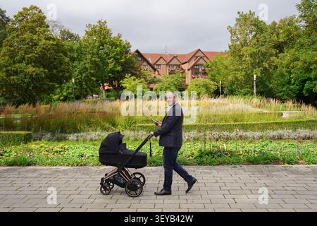 Geschäftsvater in einem Business-Anzug, der ein Telefon in der einen Hand hält, in der anderen, schiebt einen schwarzen Kinderwagen am herbstlichen Tag im Park Stockfoto