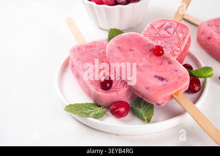 Cranberry süßes Eis, gefrorene Sorbetlollypops mit Joghurt und Beeren, auf weißer Platte, mit frischen Cranberry und Minzblättern Stockfoto