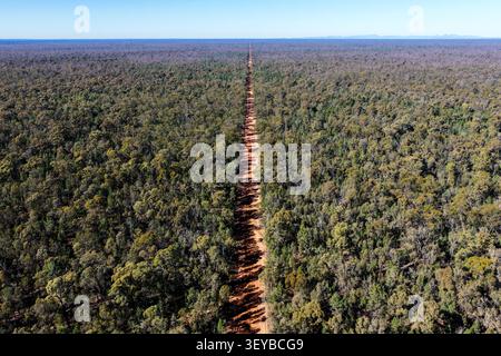 Aus der Vogelperspektive auf einer langen, geraden Schotterstraße, die sich durch den Pilliga-Wald in Richtung Horizont erstreckt und das weite, einheimische Buschland und das abgelegene lan zeigt Stockfoto
