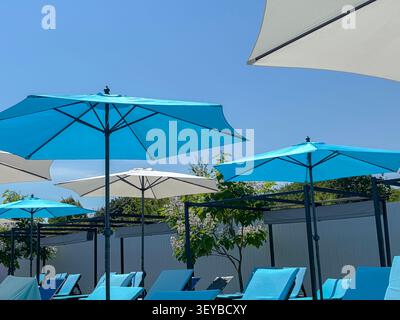 Reihen blauer Sonnenliegen und Sonnenschirme auf der Terrasse unter einem klaren Sommerhimmel im Resort Stockfoto