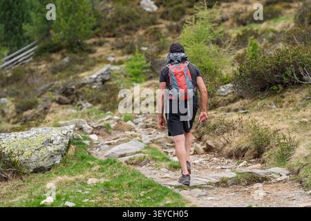 Mann mit Wanderausrüstung, der auf einem felsigen Bergweg mit Gras und Büschen in der Rückseite läuft, Abenteuer in grüner und brauner Natur, Rückansicht von Stockfoto