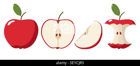 Apfel-Illustrationsset zeigt ganze Früchte, halbe Scheibe mit Samen, Keilscheibe und gegessen Kern, lehrreich. Rosh Haschana Stock Vektor
