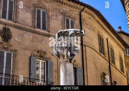 Statue des Kapitolinischen Wolfes, Symbol von Siena, ausgestellt im historischen Zentrum von Siena, Toskana, Italien. Stockfoto