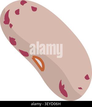 Isolierte Borlotto Cranberry Bohnen Vektor-Illustration für gesundes Essen Design Stock Vektor
