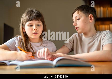 Bruder und Schwester studieren zusammen mit offenem Buch zu Hause Stockfoto