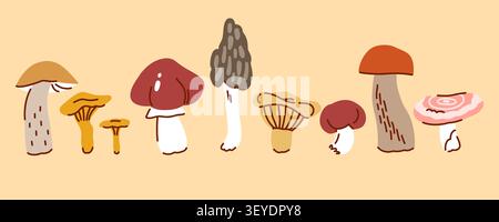 Handgezeichnete Waldpilzarten-Sammlung, botanische Illustration mit Birkenpilz, Milchpilz, Morchel, Russula und Fliegenpilz auf Beige Stock Vektor