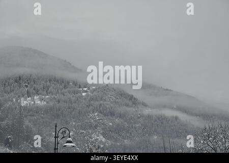 Schneefall in Val di Sole, einem atemberaubenden Tal in Trentino. Stockfoto