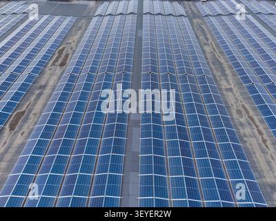 Luftaufnahme der umfangreichen Solarpaneel-Arrays auf einem großen Industriedach, die eine nachhaltige grüne Energieinfrastruktur in Diepenbeek darstellen; Stockfoto