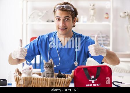 Tierarzt Arzt Kätzchen Prüfung in Animal Hospital Stockfoto