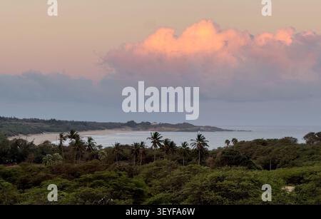 Der Sonnenuntergang über dem Papohaku Beach an der Westküste von Molokai wirft warmes Licht über die lange Küste, mit Palmen und einheimischer Vegetation im Vordergrund Stockfoto