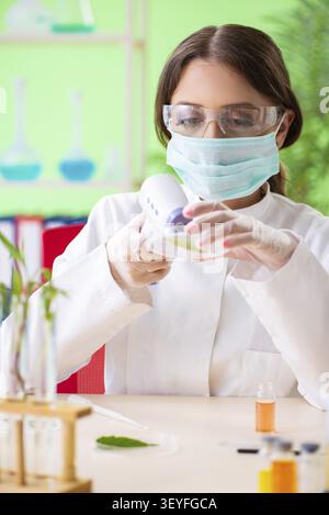 Schöne weibliche Biotechnologie Wissenschaftler Chemiker im Labor arbeiten Stockfoto