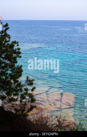 Blick auf die Küste auf klares türkisfarbenes Wasser mit felsigem Meeresboden und grünem Laub entlang der Küste unter hellem Himmel Stockfoto