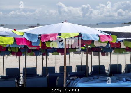 Sonnenliegen und Sonnenschirme, Koh Larn, Thailand Stockfoto