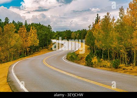 Eine kurvenreiche Bergstraße windet sich durch einen dichten Wald aus leuchtend gelben Espen im Herbst am Pikes Peak in Colorado. Stockfoto