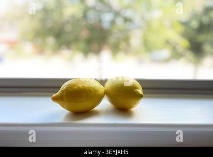 Leander, Texas, USA - 3. Juli 2026: Ein Paar frischer Zitronen ruhen an einem sonnigen Tag auf einer Fensterbank. Stockfoto