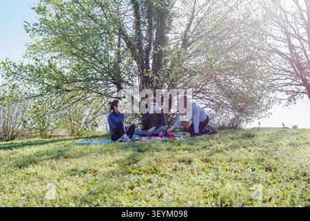 Drei erwachsene Freunde genießen ein Picknick zusammen unter einem belaubten Baum in einem sonnigen Park Stockfoto