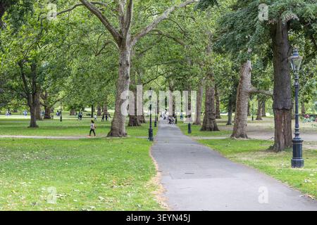 Gepflasterter Weg durch einen üppig grünen Stadtpark im Sommer Stockfoto