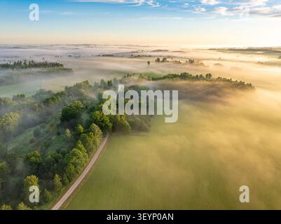 Goldener Sonnenaufgang über nebeliger Landschaft mit Sonnenstrahlen, Gemeinde Sigulda, Lettland Stockfoto