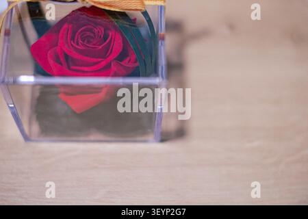 Blumenstrauß mit roter Rose in Blüte aus nächster Nähe Stockfoto