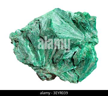 Exemplar des Minerals aus geologischer Sammlung - natürliches Samtmalachitgestein isoliert auf weißem Hintergrund Stockfoto