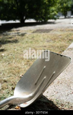 Die Ruhe sur le sol dans un jardin. Le soleil Brille sur le sol. Stockfoto