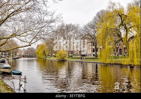Frühlingsansicht eines von Bäumen gesäumten Kanals mit Trauerweiden in Amsterdam, Niederlande. Stockfoto