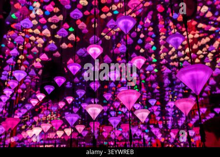 Diamond Matrix immersive Lichtinstallation von Studio Irma im Moco Museum in Amsterdam, Niederlande. Stockfoto