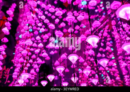 Diamond Matrix immersive Lichtinstallation von Studio Irma im Moco Museum in Amsterdam, Niederlande. Stockfoto
