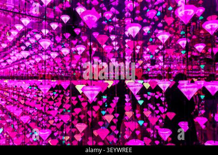 Diamond Matrix immersive Lichtinstallation von Studio Irma im Moco Museum in Amsterdam, Niederlande. Stockfoto