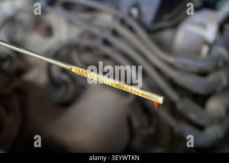 Ölsonde des Fahrzeugs auf dem Hintergrund des Motors. Messung des Ölstands im Motor. Stockfoto