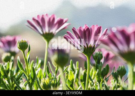 Abstraktes rosafarbenes Gänseblümchen-Ölgemälde - helle, fröhliche botanische Kunst mit malerischer Textur im Sonnenlicht und fröhlichem Blumenanhänger für die Wanddekoration Stockfoto
