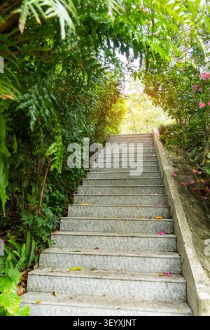 Alte Treppen im Park Stockfoto