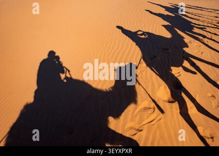 Hochwinkelaufnahme der langen Schatten einer Kamelkarawane und der Reiter, die auf den goldenen Sanddünen der Sahara unter dem Licht des Sonnenuntergangs geworfen werden, Wüstensha Stockfoto