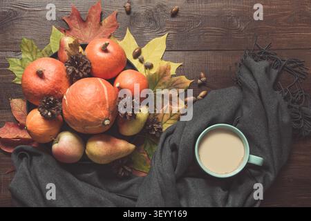 Herbst noch Leben mit Kürbissen, Tasse Kaffee, Äpfel, warmen Schal auf Holzbrett. Kopieren Sie Platz. Blick von oben. Stockfoto
