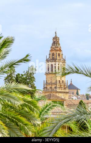 Glockenturm der Mezquita-Kathedrale von Cordoba (Torre Campanario de la Mezquita-Catedral de Córdoba) in Spanien. Stockfoto