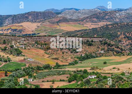 Ländliche Landschaft in Spanien, Andalusien, Landschaft mit Olivenhainen und sanften Hügeln. Stockfoto
