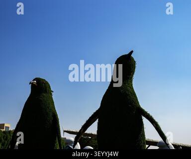 Niedrigwinklige Horizontalaufnahme von riesigen Pinguin-Topiarien aus grünen Sträuchern vor einem klaren blauen Himmel, Dubai Miracle Garden Stockfoto