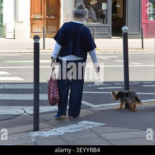 Eine ältere Frau mit grauem Haar wartet an einem Quersteg mit einer Tasche, während ein kleiner Hund an der Leine neben ihr in einer städtischen Umgebung steht Stockfoto