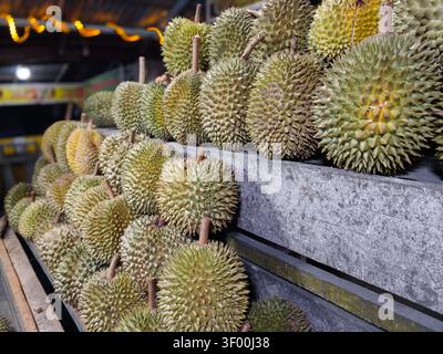 Frisch geerntete Durians, die an einem Straßenmarkt in Indonesien ausgestellt sind, um Reisende und Obstliebhaber anzulocken. Stockfoto