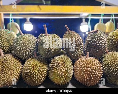 Frisch geerntete Durians, die an einem Straßenmarkt in Indonesien ausgestellt sind, um Reisende und Obstliebhaber anzulocken. Stockfoto