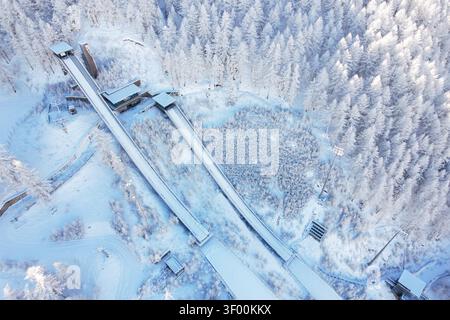 Blick aus der Vogelperspektive auf das Stadio Olimpico del Salto, umgeben von schneebedeckten Kiefernwäldern im Winter in Pragelato, Piemont, Italien. Stockfoto