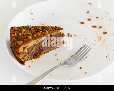 Eine einzelne Scheibe mehrschichtiger glutenfreier und laktosefreier Kuchen, die auf einer weißen Platte mit einer Gabel verbleibt. Stockfoto